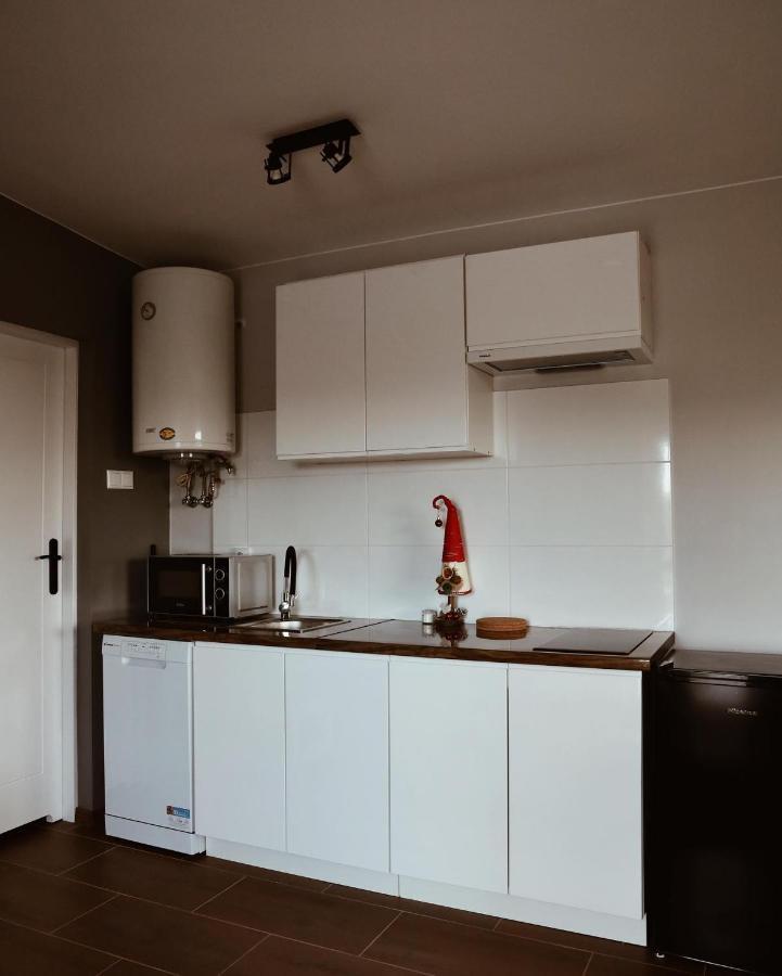 Apartamenty Wilga Z Calorocznym Jacuzzi I Letnim Basenem Buitenkant foto