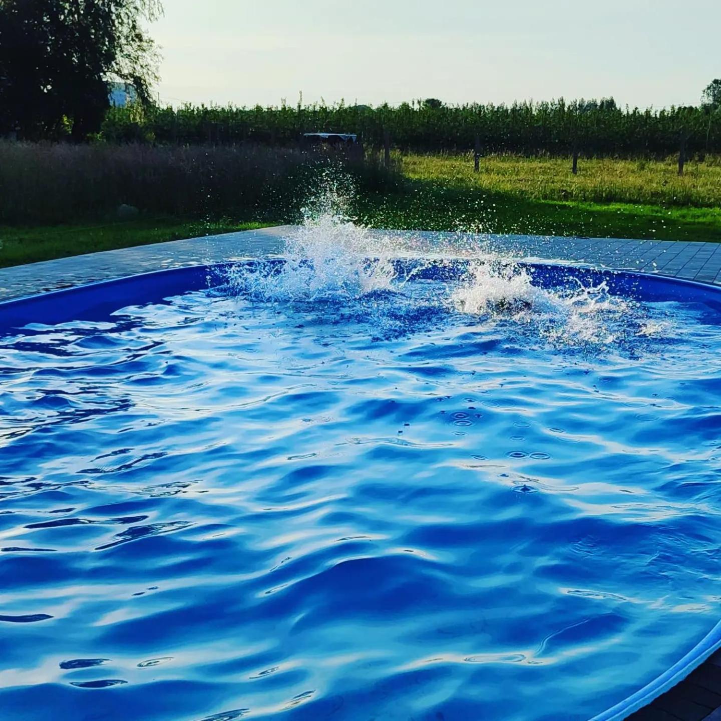 Apartamenty Wilga Z Calorocznym Jacuzzi I Letnim Basenem Buitenkant foto